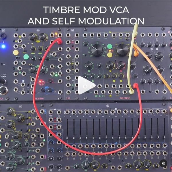 You can break the internal semi-normalization and patch any AC or DC input to the Timbre Modulation Bus!
